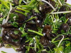 芫爆木耳-来顺成饭庄