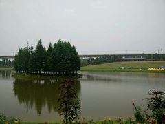 -秀丽东方
