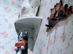 -猫小院猫主题餐厅(三里屯店)
