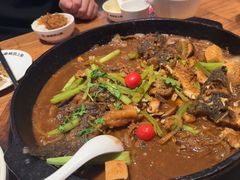 -老板恋上鱼(恒隆广场店)