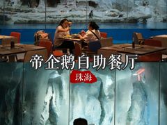 -帝企鹅自助餐厅•儿童岛•真企鹅(长隆企鹅酒店)