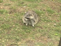 -秦皇岛野生动物园