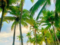 -三亚南山文化旅游区