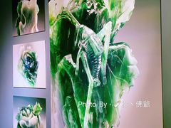 -台北故宫博物院