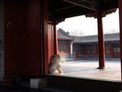 -恭王府博物馆