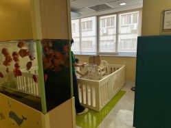 -杭州贝瑞斯美华妇儿医院·早孕·产检·儿科