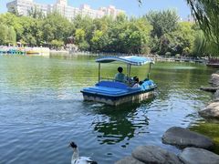 -莲湖公园