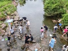 -重庆彩云湖湿地公园