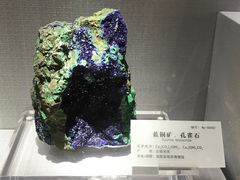 -湖南省地质博物馆