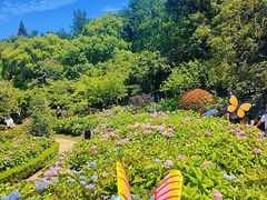 -上海共青森林公园