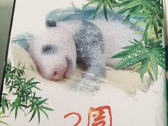 -青藏高原野生动物园