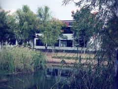 -尚贤河湿地