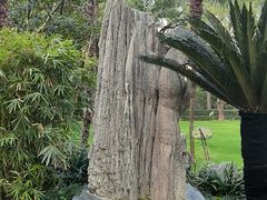 -复旦大学附属华山医院(总院)