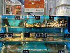-北戴河庆山饭店·海鲜砂锅粥(北戴河黑石路店)