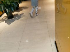 -星河国际影城(新会店)