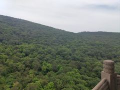-灵谷景区