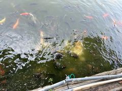 -泰宁旅游风景名胜区