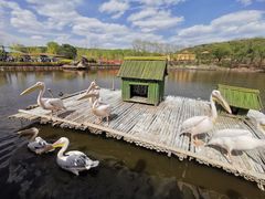 -沈阳森林动物园
