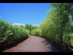 -绿堤公园