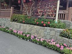 -龙凤山庄影视度假村