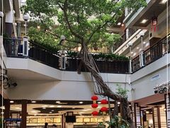 -广州酒家(文昌总店)