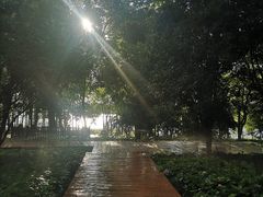 -东湖落雁景区
