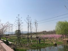 -长田漾湿地公园