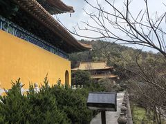 -天下玉苑