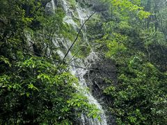 -石台牯牛降景区