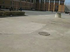 -东北农业大学