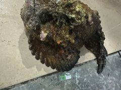 -量贩海鲜餐厅