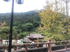 -楠柏弯休闲山庄(梨花溪店)