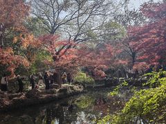 -秋霞圃