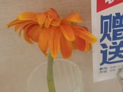 -眉州东坡(印象城购物中心店)