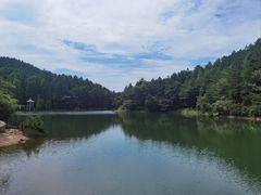 -四明山国家森林公园