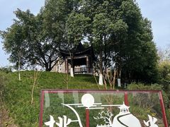 -重庆彩云湖湿地公园