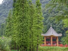 -广州市石门国家森林公园
