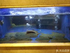 -阿英煲(凉城路店)