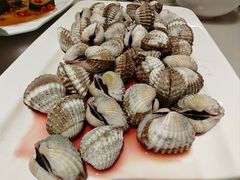 -华盛丰温州大排档(东三环南路店)