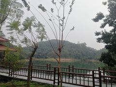 -大雁山风景区