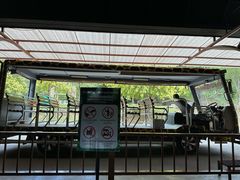 -清迈夜间动物园