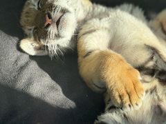 -大连森林动物园