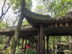 -上海佘山国家森林公园天马山园