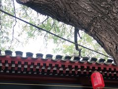 -宫门口馒头铺(创始人总店)