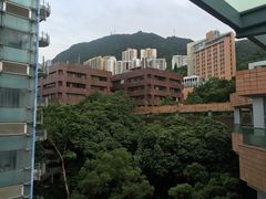 -香港大学