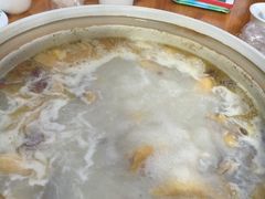 -16年老字号鑫鑫猪肚鸡·椰子鸡海南火锅(兴隆华侨农场店)