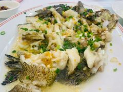 -美居大酒楼(美居广场店)