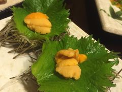 -左舞日本料理