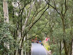 -白云山风景名胜区
