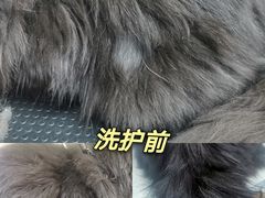 -优米宠物美容(体育场路店)